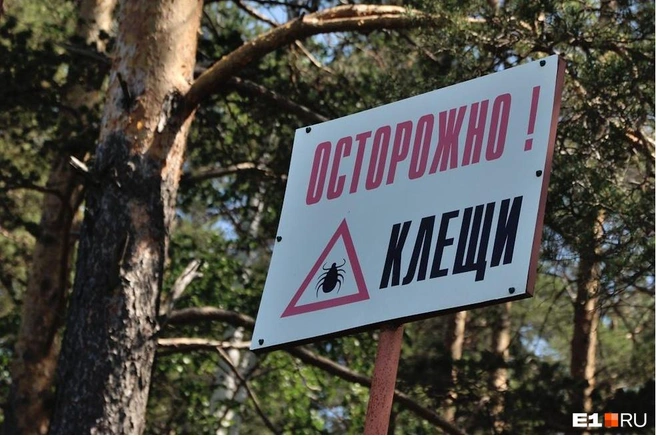 Likhoradka Ku