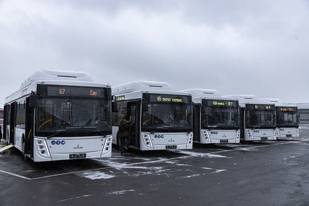 New buses