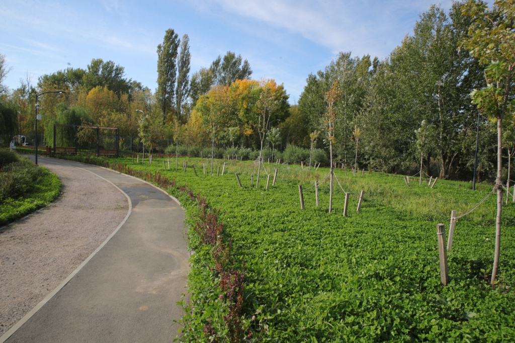New ecopark