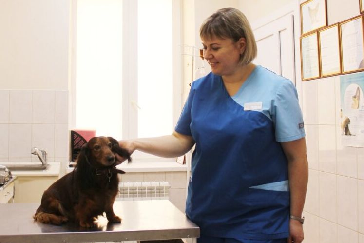 sterilizatsiya