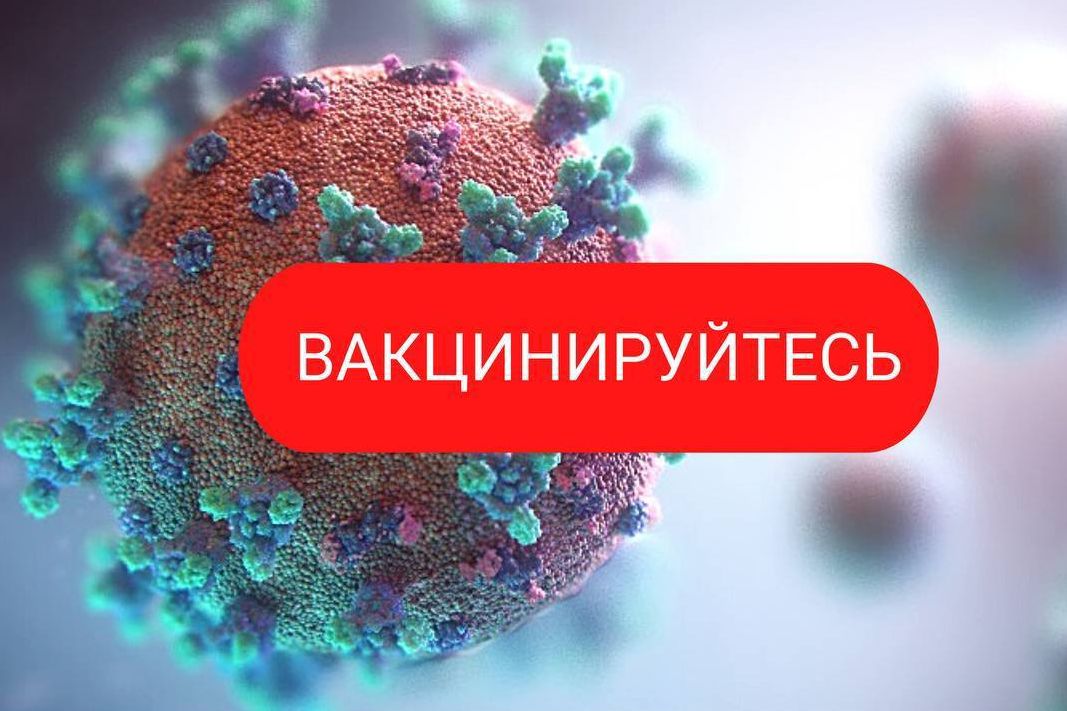 vaktsinatsiya