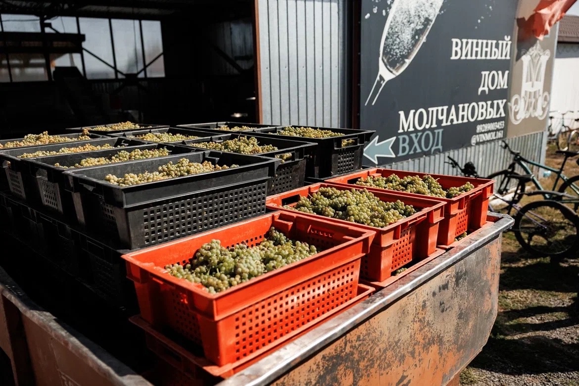 Молчанов фотограф Евгений Чистяков